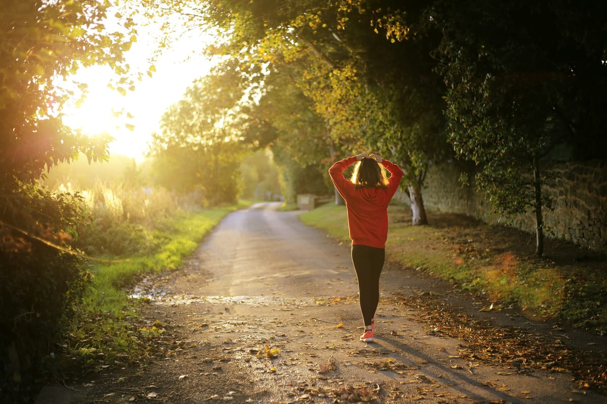 A person walking along a sunlit, tree-lined path in early autumn.